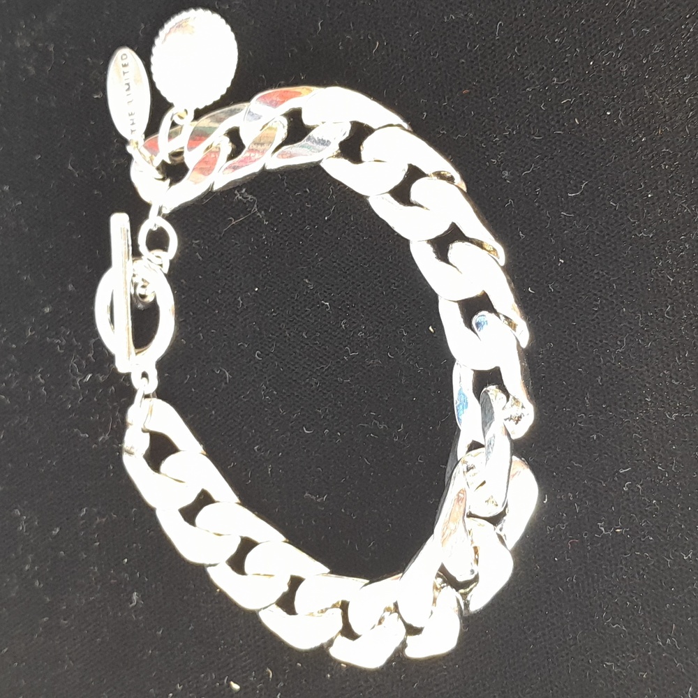 The Limited Silver Link Bracelet with Toggle Clasp